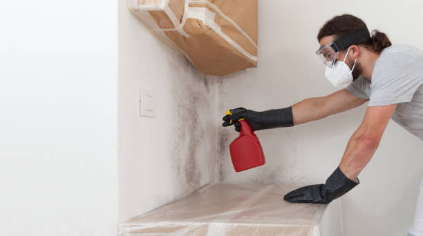 Professional Bathroom Mold Removal technician working in Colleyville, TX