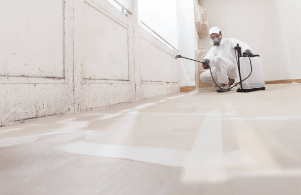 24/7 Emergency Bathroom Mold Removal experts in Colleyville, TX