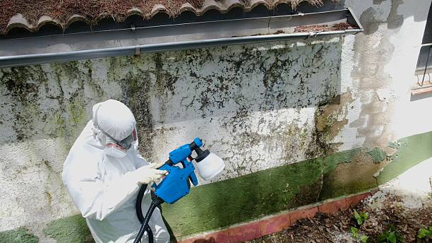 Top rated local Bathroom Mold Removal specialists in Colleyville, TX